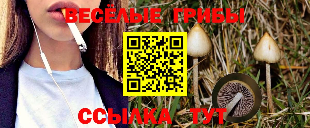 Хасавюрт  Псилоцибиновые грибы прущие грибы  Вход с VPN 