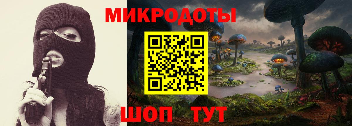 Галлюциногенные грибы мухоморы Хасавюрт